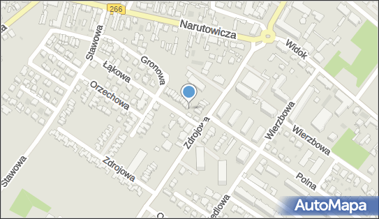 Auto Naprawa, ul. Łąkowa 2, Ciechocinek 87-720 - Przedsiębiorstwo, Firma, NIP: 8911012851