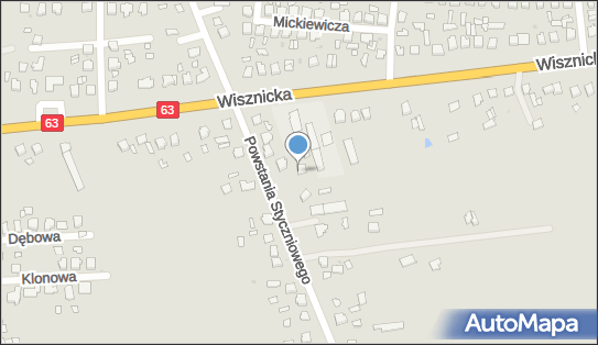 Auto Naprawa, ul. Powstania Styczniowego 15B, Radzyń Podlaski 21-300 - Przedsiębiorstwo, Firma, numer telefonu, NIP: 5381281345