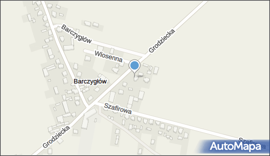 Auto Paweł Paweł Włodzimierz Kropidłowski, ul. Grodziecka 47 62-571 - Przedsiębiorstwo, Firma, NIP: 6661971502