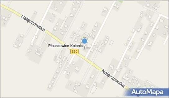 Auto Plus, Płouszowice-Kolonia 73, Płouszowice-Kolonia 21-008 - Przedsiębiorstwo, Firma, NIP: 9462181443