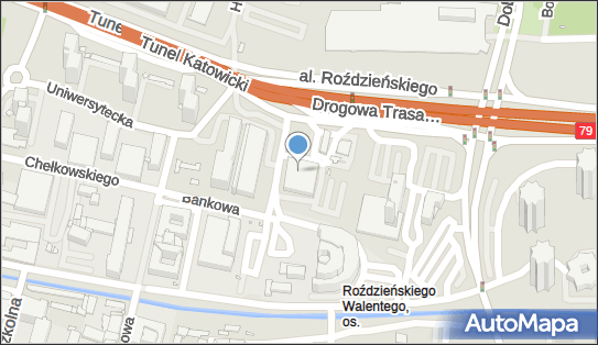 Auto Salon Vector, al. Walentego Roździeńskiego 12, Katowice 40-201 - Przedsiębiorstwo, Firma, numer telefonu, NIP: 6251699986