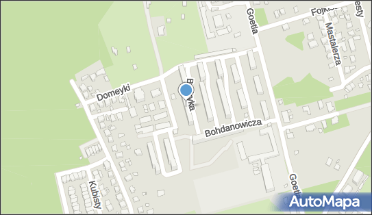 Auto Service, ul. Witolda Budryka 1, Katowice 40-749 - Przedsiębiorstwo, Firma, numer telefonu, NIP: 9541468825