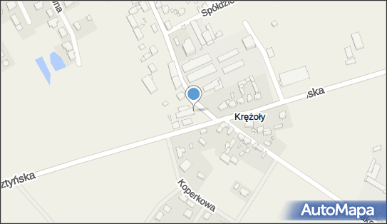 Auto-Serwis Mechanika, Blachrstwo, Lakiernictwo i Handel Akcesoriami Samoch Andres Władysław 66-100 - Przedsiębiorstwo, Firma, NIP: 9271009041