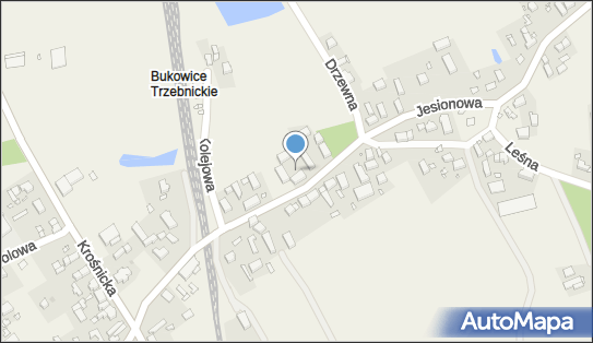 Auto-Szymon Szymon Jerzyk, Jesionowa 6, Bukowice 56-321 - Przedsiębiorstwo, Firma, NIP: 9161383465