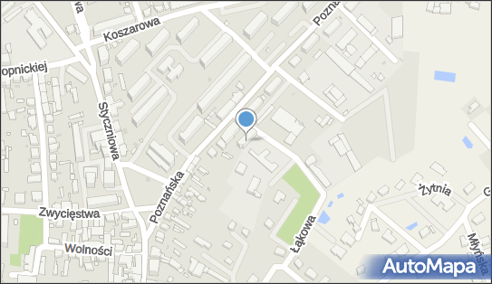 Auto Teile Anita Szarłata, Poznańska 13, Sulechów 66-100 - Przedsiębiorstwo, Firma, NIP: 9730668608
