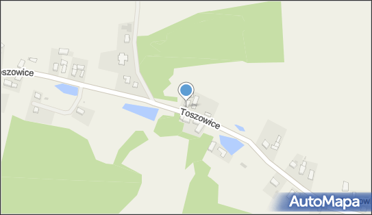 Auto Transport Mechanika, Toszowice 19, Toszowice 59-342 - Przedsiębiorstwo, Firma, NIP: 6921395999