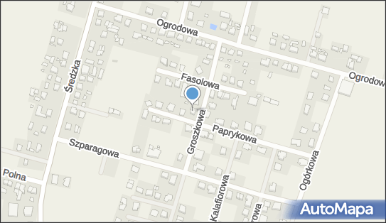 Avalon STS, Groszkowa 12, Paczkowo 62-021 - Przedsiębiorstwo, Firma
