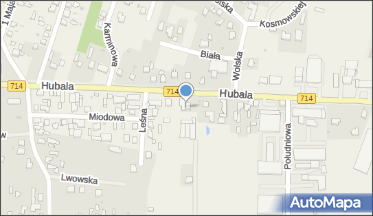 Award Fashion Wiesława Śpionek Ashok Kumar, ul. mjr. Hubala 24 95-054 - Przedsiębiorstwo, Firma, NIP: 7311969586