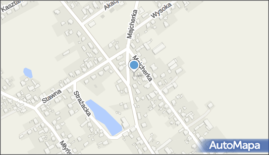 B A Investments, Szkolna 34, Dopiewo 62-070 - Przedsiębiorstwo, Firma