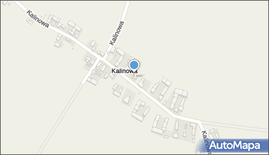 Bacior Damian, Kalinowa 34, Kalinowa 57-120 - Przedsiębiorstwo, Firma, NIP: 9141538077