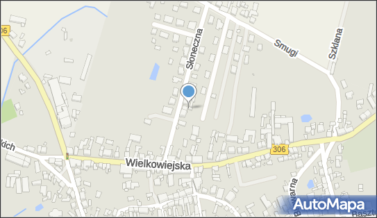 Badanie Zwierząt Rzeźnych i Mięsa Maciński Władysław, Buk 64-320 - Przedsiębiorstwo, Firma, numer telefonu, NIP: 7881008731