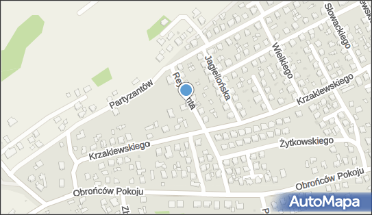 Bajor Sylwester Bajrent, ul. Władysława Reymonta 3, Kolbuszowa 36-100 - Przedsiębiorstwo, Firma, NIP: 8141551947