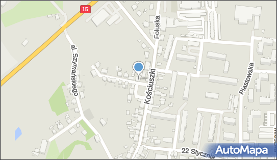 Bar pod Orzechem, Plac Powstańców 5a, Trzemeszno 62-240 - Przedsiębiorstwo, Firma, NIP: 5570000933