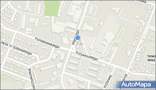 Bar Skorpion, Króla Kazimierza Wielkiego 17, Pleszew 63-300 - Przedsiębiorstwo, Firma, NIP: 6171011083