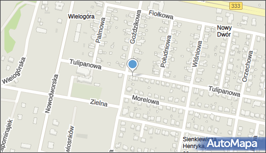 Bar Tulipan, ul. Tulipanowa 2/3, Legnica 59-220 - Przedsiębiorstwo, Firma, NIP: 6911007665