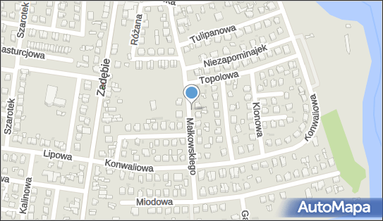 Barbara Janus, ul. prof. Stanisława Małkowskiego 11, Skierniewice 96-100 - Przedsiębiorstwo, Firma, NIP: 8361257782