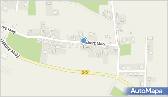 Barbara Kumor Elektromechanika Pojazdowa, Uskorz Mały 15 56-100 - Przedsiębiorstwo, Firma, NIP: 9171078775