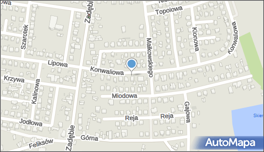 Bartosz Dybowski Dybi-Trans, Konwaliowa 37, Skierniewice 96-100 - Przedsiębiorstwo, Firma, NIP: 8361791642