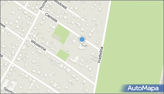 Beata Pluta Portrety - Pracownia Artystyczna, Cienista 6 62-040 - Przedsiębiorstwo, Firma, NIP: 7821054437