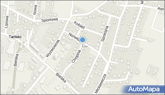 Bełtowska Anna Maja Dzieciom, ul. Chopina 12, Chybie 43-520 - Przedsiębiorstwo, Firma, NIP: 5482533239