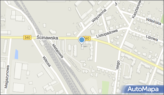 Bicz A., Wołów, ul. Ścinawska 11 A, Wołów 56-100 - Przedsiębiorstwo, Firma, NIP: 9880191119