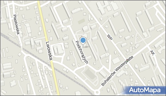 Bieszczadzkie Centrum Wspierania Inicjatyw Lokalnych, Krosno 38-400 - Przedsiębiorstwo, Firma, numer telefonu, NIP: 6842327443