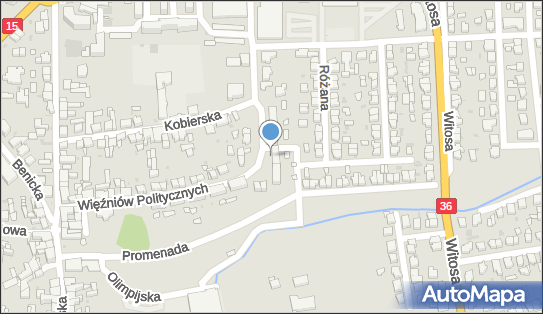 Big Flag, Więźniów Politycznych 26, Krotoszyn 63-700 - Przedsiębiorstwo, Firma, numer telefonu, NIP: 6211187300