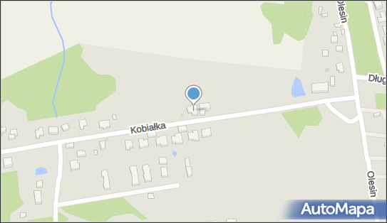 Biuro Badań Pisma Paweł Grzechnik, Kobiałka 89, Warszawa 03-044 - Przedsiębiorstwo, Firma, NIP: 5241274084