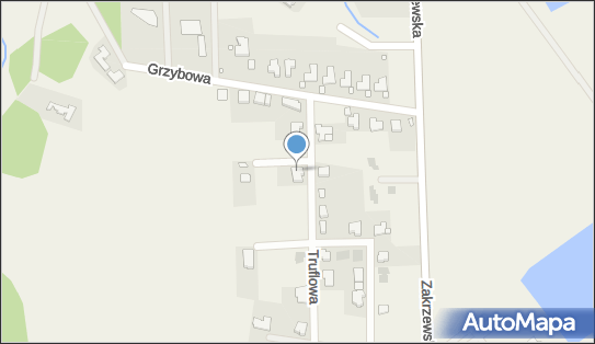 Biuro Handlowo Usługowe Ufs, Truflowa 16, Lusowo 62-080 - Przedsiębiorstwo, Firma