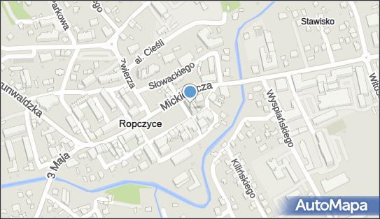 Biuro Usług Turystycznych Ara, Rynek 1, Ropczyce 39-100 - Przedsiębiorstwo, Firma, NIP: 9531784105