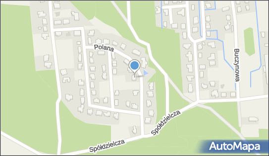 Biuro Usługowo Handlowe, Leśna Polana 11, Borówiec 62-023 - Przedsiębiorstwo, Firma, numer telefonu, NIP: 6422025037