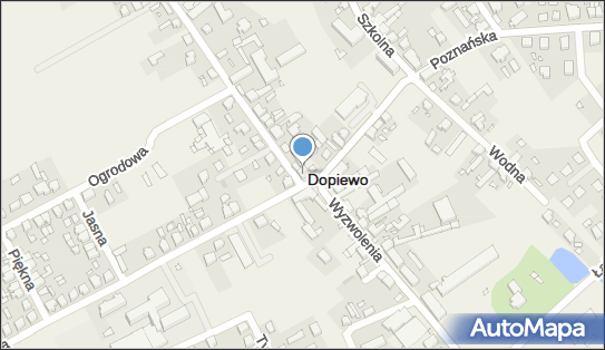 Blach-Mar Grzegorz Marchelek, Poznańska 1, Dopiewo 62-070 - Przedsiębiorstwo, Firma, NIP: 7771740951
