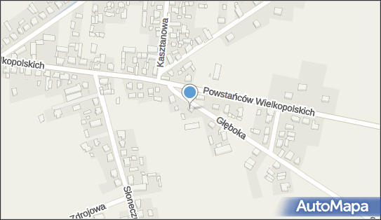 Blach-Pol Blacharstwo Samochodowe Wojciech Szczepański, Głęboka 2b 64-234 - Przedsiębiorstwo, Firma, NIP: 6981340890