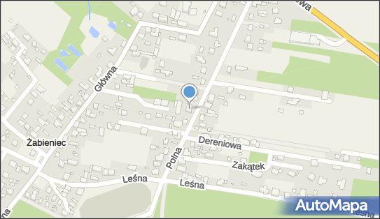 Blacharstwo i Lakiernictwo Pojazdowe, ul. Polna 24, Żabieniec 05-500 - Przedsiębiorstwo, Firma, numer telefonu, NIP: 1230050516