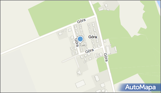 Blacharstwo Lakiernictwo Pojazdowe Mirosław Wiza, Góra 19, Góra 63-100 - Przedsiębiorstwo, Firma, NIP: 6170013393