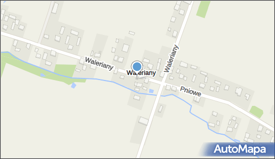 Blacharstwo Lakiernictwo Pojazdowe Tadeusz Witecki, Waleriany 3 96-330 - Przedsiębiorstwo, Firma, NIP: 8381030366