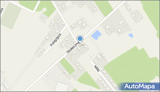 9521010477, Pazio Sławomir Blacharstwo-Lakiernictwo Samochodowe 