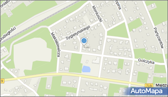 BLS Express Lidia Sobol, Golczyka 16, Międzyborów 96-316 - Przedsiębiorstwo, Firma, NIP: 8381332966