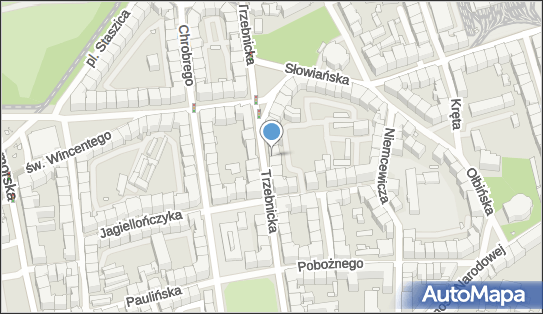 Blue Sky Trans Sylwester Skwarzyński, Trzebnicka 17, Wrocław 50-245 - Przedsiębiorstwo, Firma, NIP: 8982123227