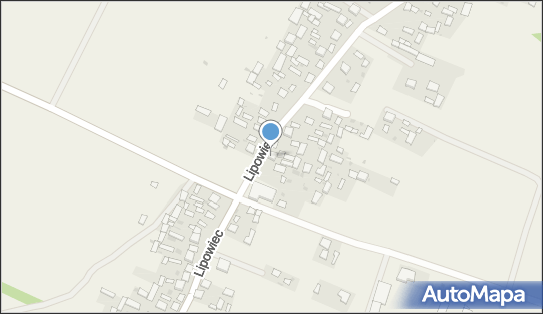 Blutrans Wojciech Popczak, Lipowiec 104, Lipowiec 23-407 - Przedsiębiorstwo, Firma, numer telefonu, NIP: 9181203561