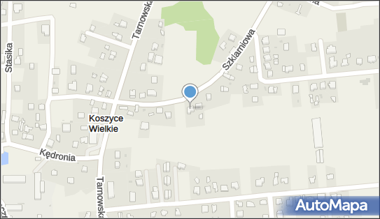 Bochenek Stanisław Bochenek, Szklarniowa 12, Koszyce Wielkie 33-111 - Przedsiębiorstwo, Firma, NIP: 8731210348