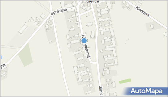Bodek, ul. Niepokalanej 49, Bielice 74-202 - Przedsiębiorstwo, Firma, NIP: 9551954705