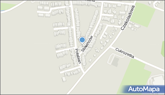 8991487495, Bogdan Staworko 