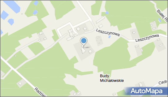 Bogusław Biały BBS, ul. Leszczynowa 52, Budy Michałowskie 96-316 - Przedsiębiorstwo, Firma, NIP: 9521690495