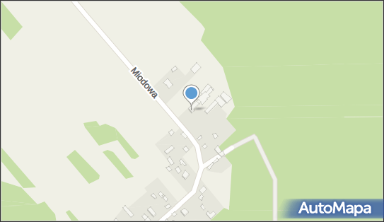 Bogusław Ławecki - Ubojnia Zwierząt Rzeźnych, Pruszyn-Pieńki 08-110 - Przedsiębiorstwo, Firma, NIP: 8210000714