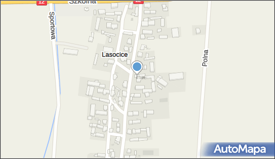 Bogusław Pietrzak Gospodarstwo Rolne, Słoneczna 15, Lasocice 64-100 - Przedsiębiorstwo, Firma, NIP: 6972017818