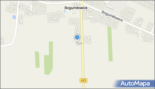 Borówka, Bogumiłowice 11A, Bogumiłowice 98-338 - Przedsiębiorstwo, Firma, NIP: 7721778101