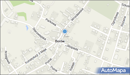 Borowski Klub Sportowy - Borów, ul. Wrocławska - STADION, Borów 57-160 - Przedsiębiorstwo, Firma, NIP: 9141483100