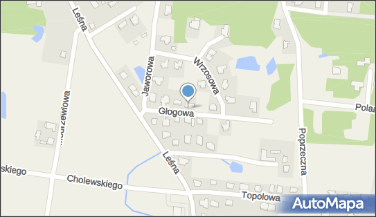 Borys It Software Engineering, Głogowa 5, Osielsko 86-031 - Przedsiębiorstwo, Firma, numer telefonu, NIP: 5541857826