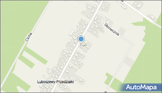 Bożena Lis, Luboszewy 483, Luboszewy 97-217 - Przedsiębiorstwo, Firma, NIP: 7731161951